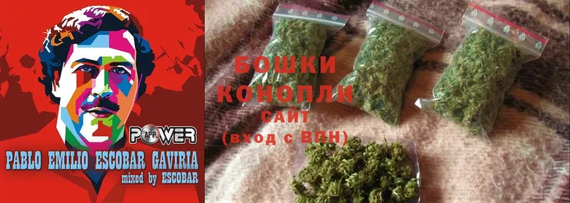 продажа наркотиков  Канск  Шишки марихуана Bruce Banner 